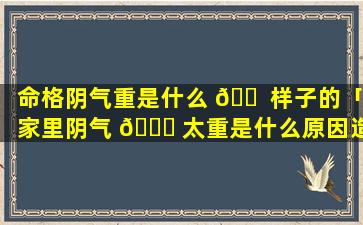 命格阴气重是什么 🐠 样子的「家里阴气 🐎 太重是什么原因造成的」